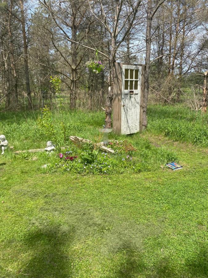 Dreamers Writing Farm, 3 Wooded Acres, Hepworth Sauble Beach Zewnętrze zdjęcie
