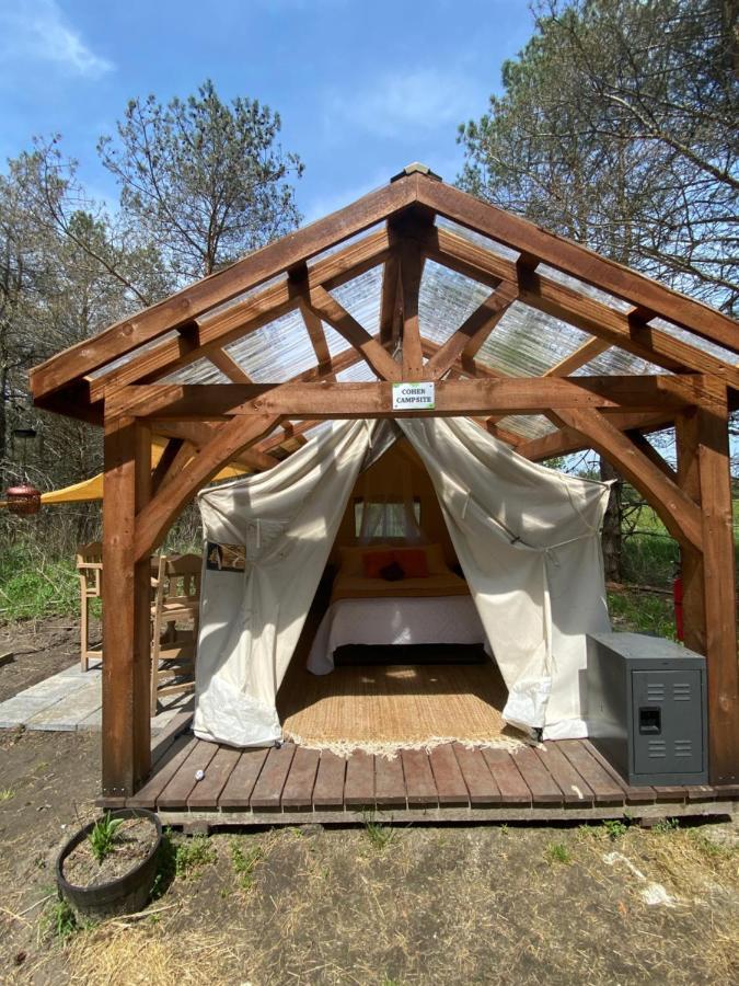 Dreamers Writing Farm, 3 Wooded Acres, Hepworth Sauble Beach Zewnętrze zdjęcie