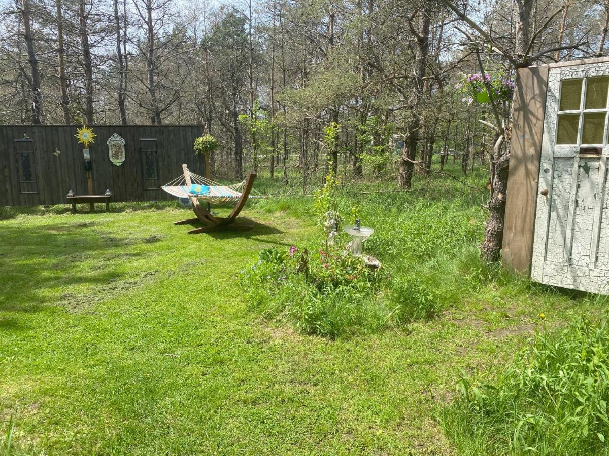 Dreamers Writing Farm, 3 Wooded Acres, Hepworth Sauble Beach Zewnętrze zdjęcie