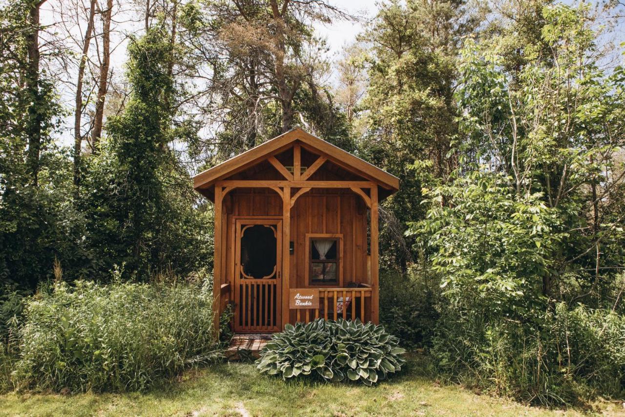 Dreamers Writing Farm, 3 Wooded Acres, Hepworth Sauble Beach Zewnętrze zdjęcie